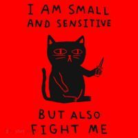 I Am Small And Sensitive But Also Fight Me Cat Santa Hat thumb 1