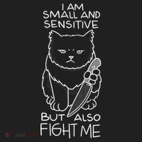 I Am Small And Sensitive But Also Fight Me Funny Cat Women's Sweatshirt thumb 2