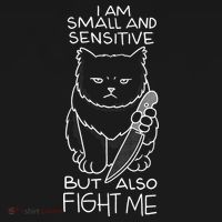 I Am Small And Sensitive But Also Fight Me Funny Cat Coaster thumb 2