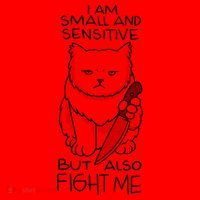 I Am Small And Sensitive But Also Fight Me Funny Cat Santa Hat thumb 1