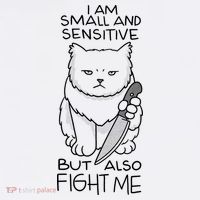 I Am Small And Sensitive But Also Fight Me Funny Cat T-Shirt thumb 7