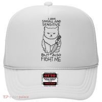 I Am Small And Sensitive But Also Fight Me Funny Cat Hat thumb 0