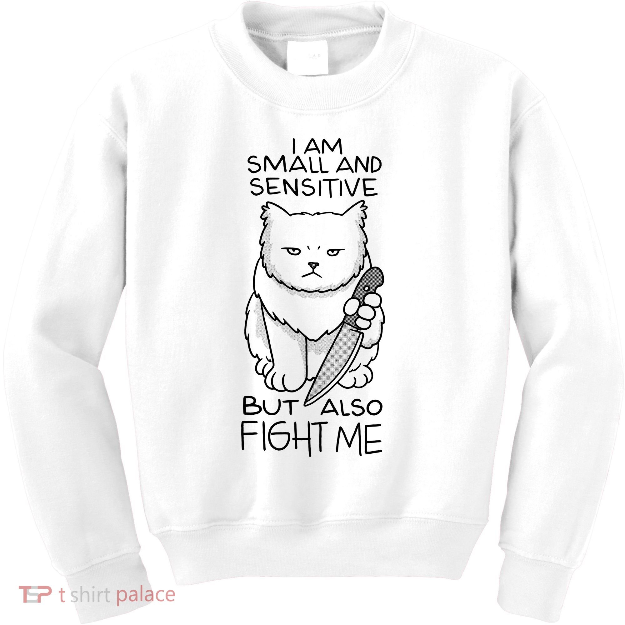 I Am Small And Sensitive But Also Fight Me Funny Cat Kids Sweatshirt