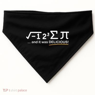 I Ate Some Pi Funny Pi Day & Math Lover Gift USA-Made Doggie Bandana