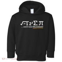 I Ate Some Pi Funny Pi Day & Math Lover Gift Toddler Hoodie thumb 0