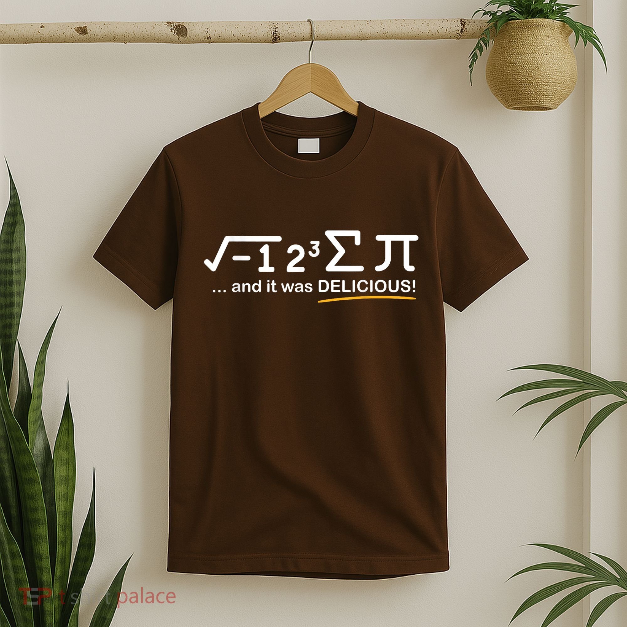 I Ate Some Pi Funny Pi Day & Math Lover Gift T-Shirt