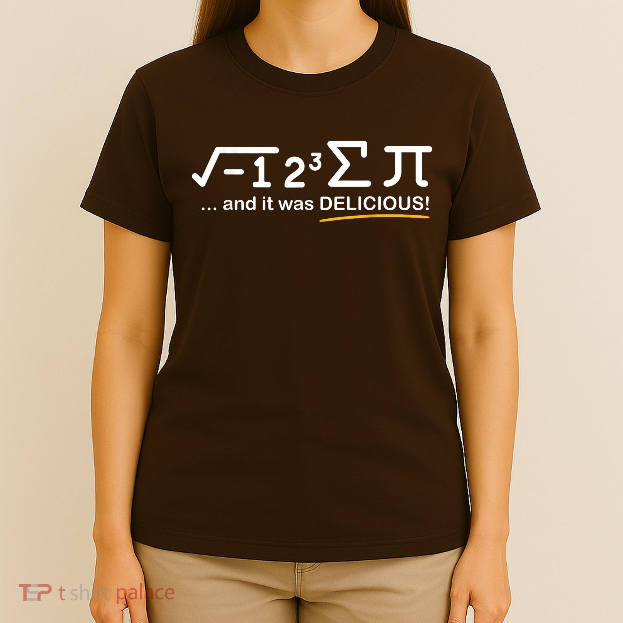 I Ate Some Pi Funny Pi Day & Math Lover Gift T-Shirt