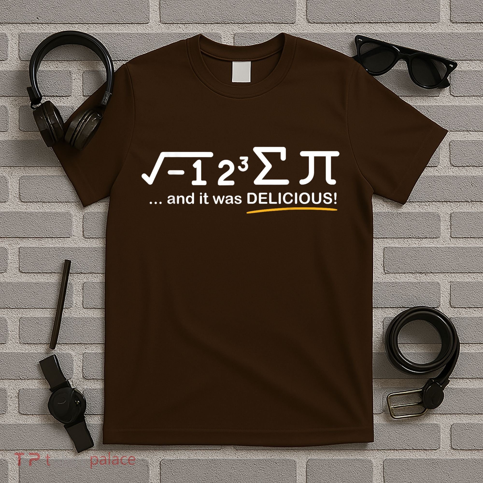 I Ate Some Pi Funny Pi Day & Math Lover Gift T-Shirt