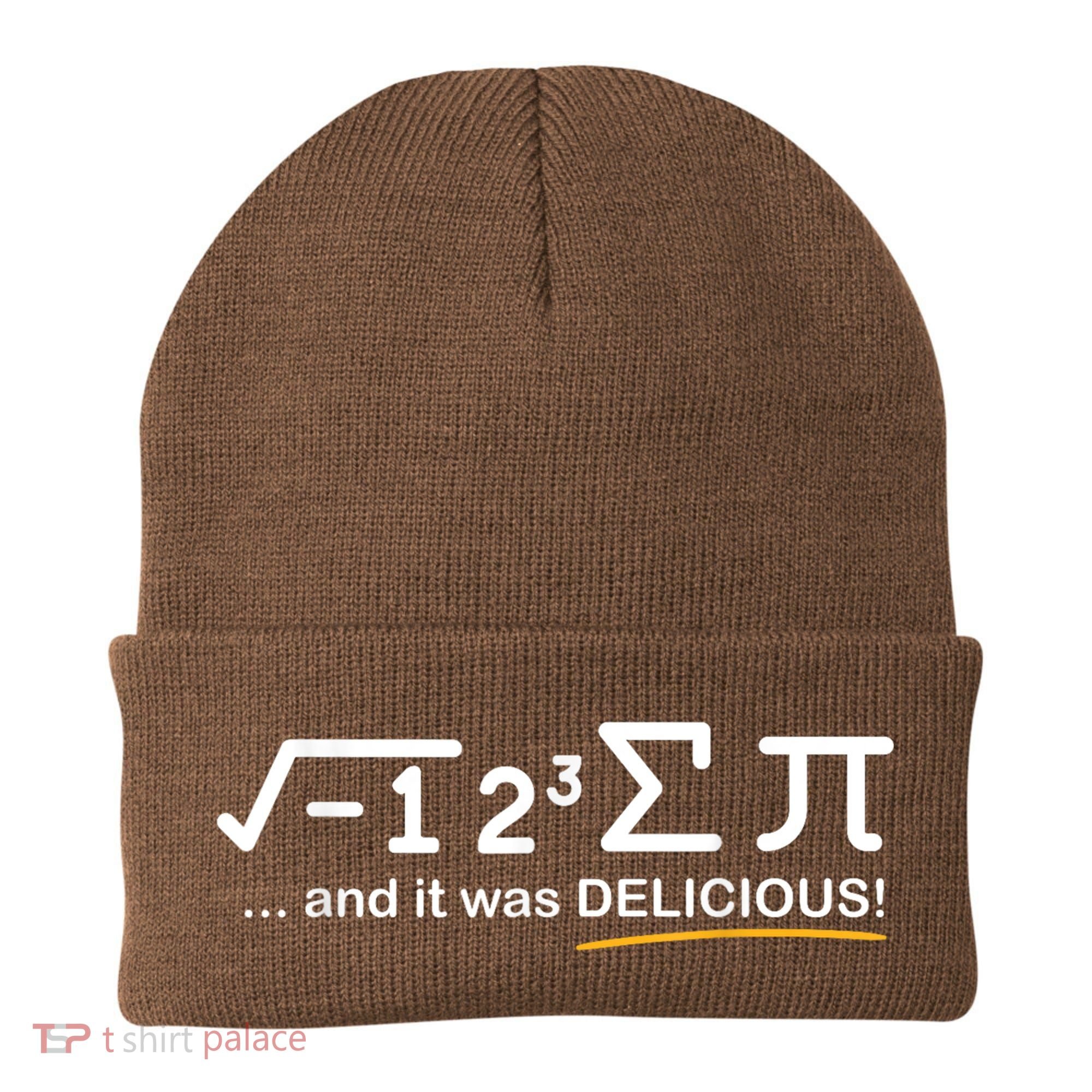 I Ate Some Pi Funny Pi Day & Math Lover Gift Beanie