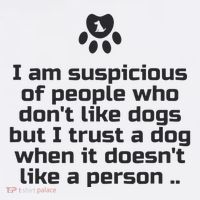 I Am Suspicious Of People Who DonT Like Dogs Women's Tank Top thumb 5