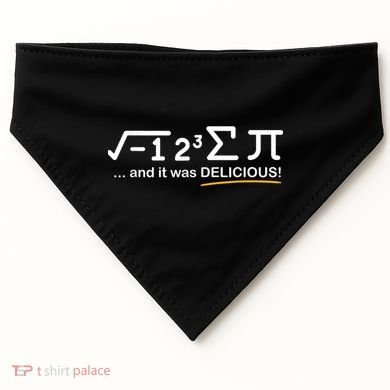 I Ate Some Pi Funny Pi Day & Math Lover Gift USA-Made Doggie Bandana