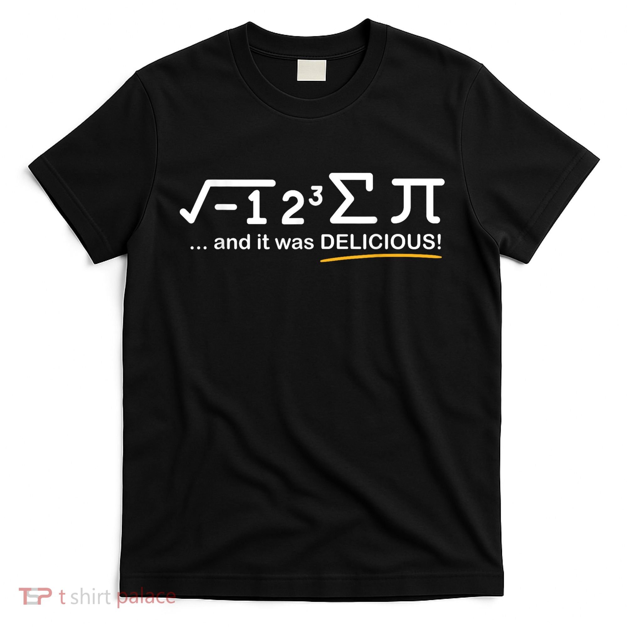 I Ate Some Pi Funny Pi Day & Math Lover Gift T-Shirt