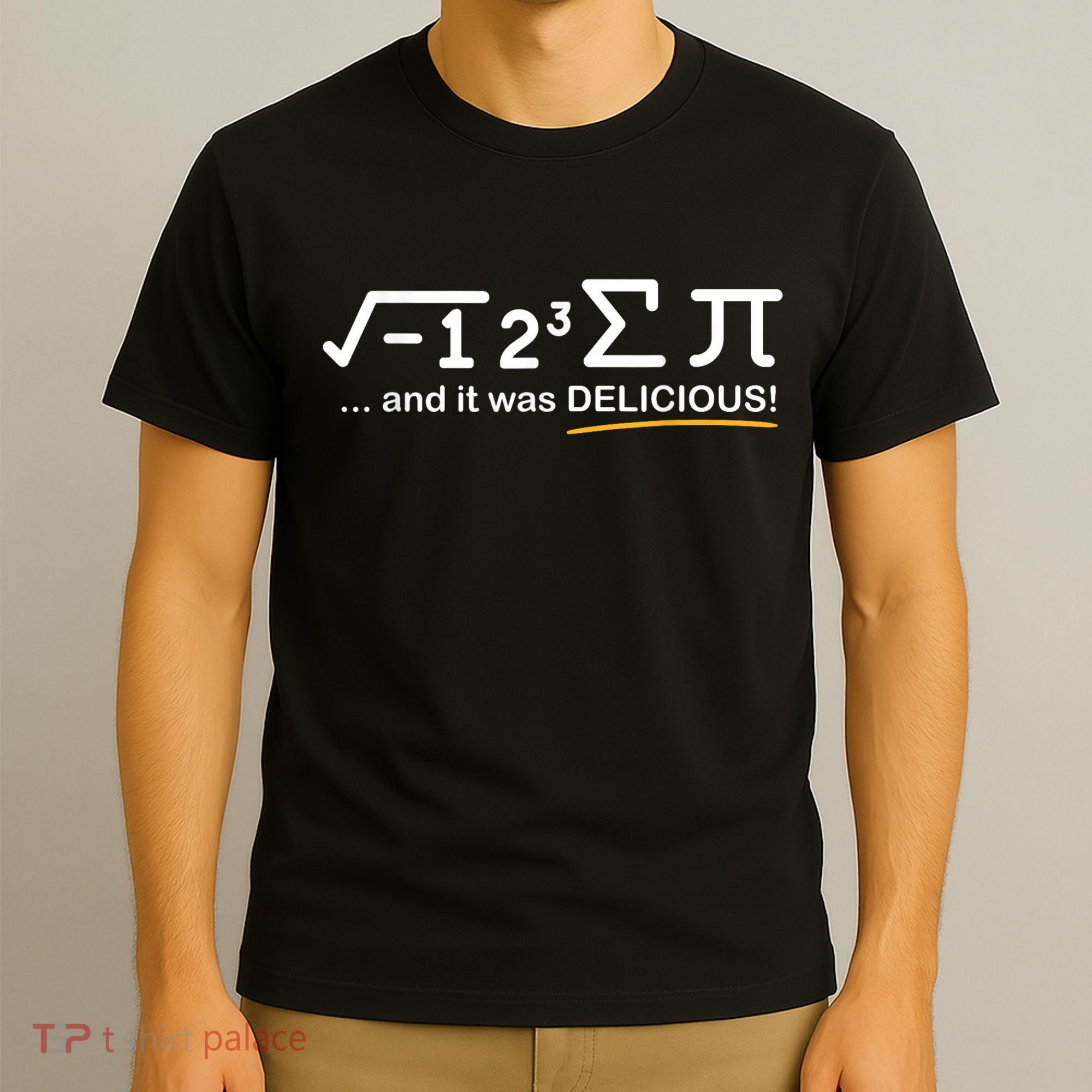I Ate Some Pi Funny Pi Day & Math Lover Gift T-Shirt