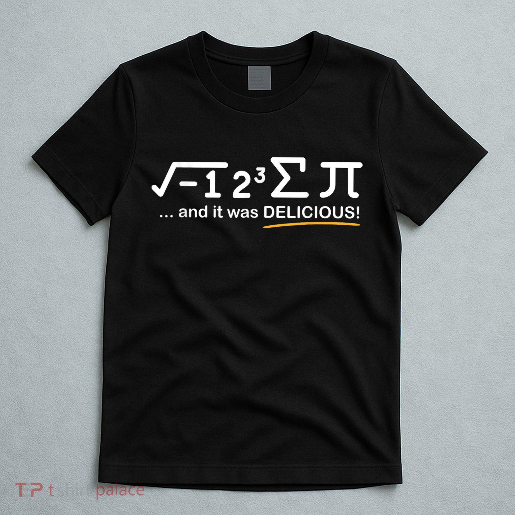 I Ate Some Pi Funny Pi Day & Math Lover Gift T-Shirt