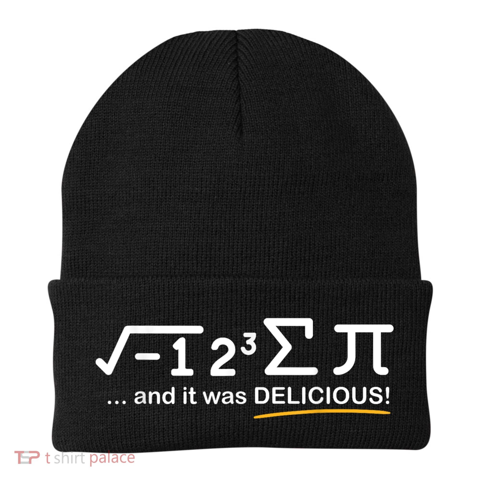 I Ate Some Pi Funny Pi Day & Math Lover Gift Beanie