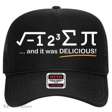 I Ate Some Pi Funny Pi Day & Math Lover Gift Hat