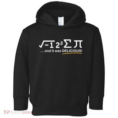 I Ate Some Pi Funny Pi Day & Math Lover Gift Toddler Hoodie