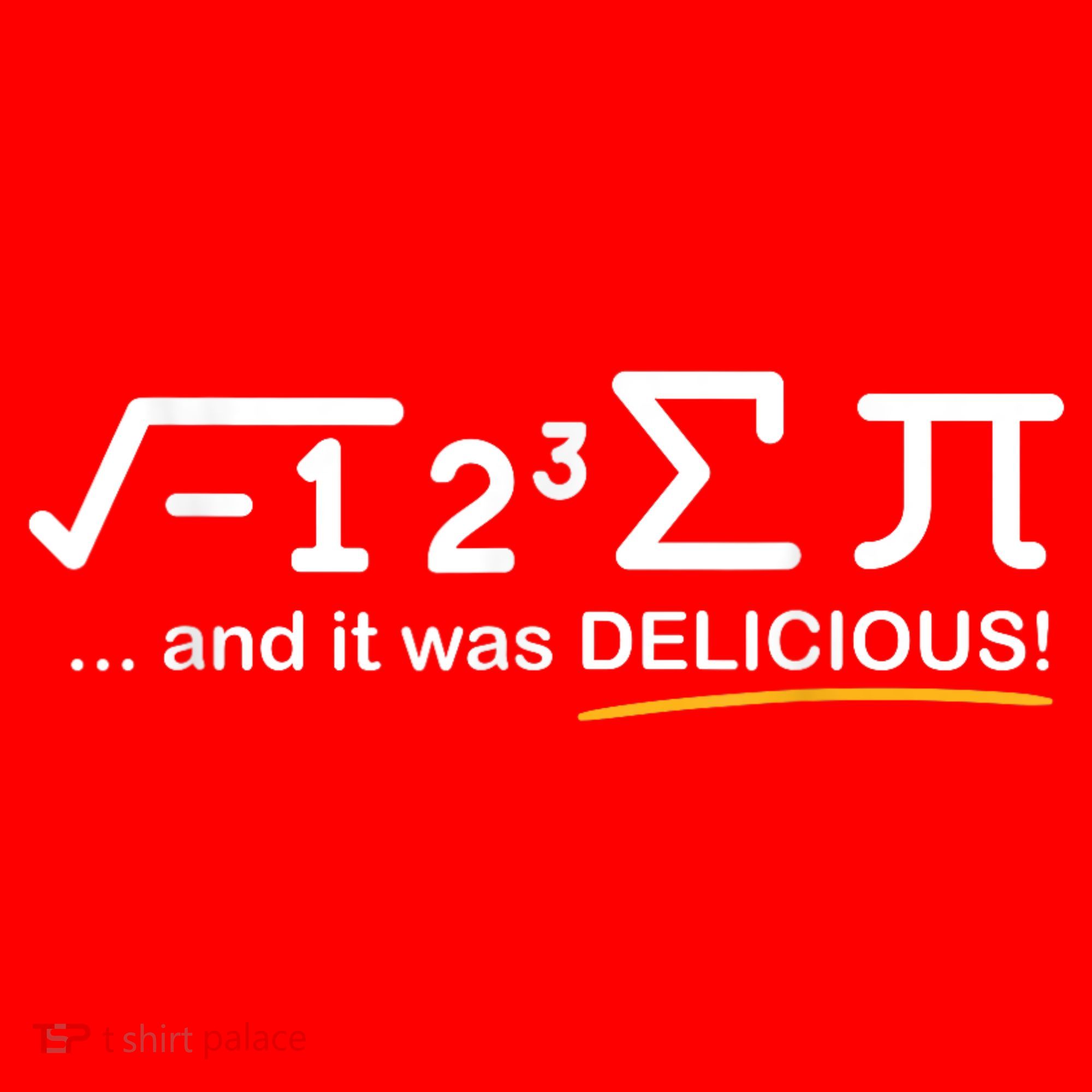 I Ate Some Pi Funny Pi Day & Math Lover Gift Santa Hat