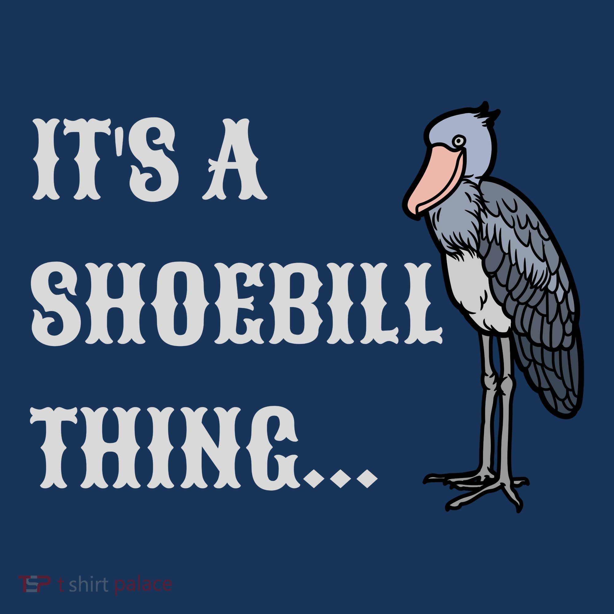 ItS A Shoebill Thing African Birds Lover Women's Hoodie