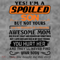 I'm A Spoiled Son Of A Freaking Awesome Mom Great Gift Toddler Hoodie thumb 2