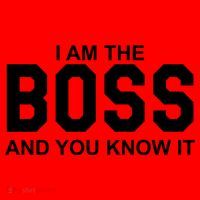 I Am The Boss And You Know Imeaningful Gift I Am The Boss Tee Funny Cute Gift Santa Hat thumb 1