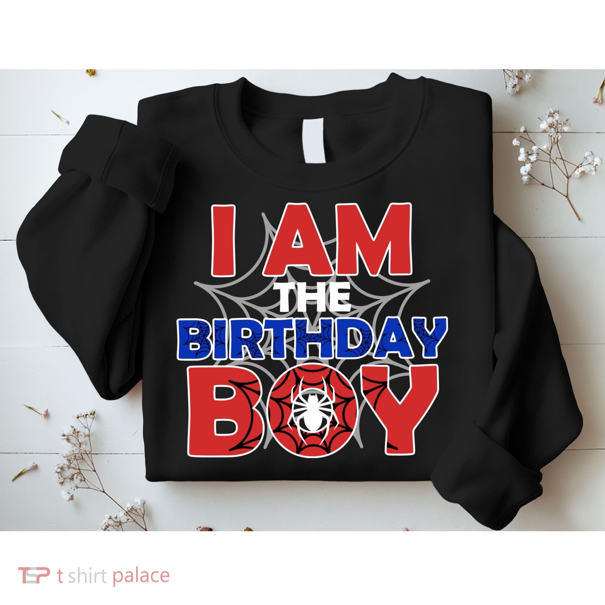 I Am The Birthday Boy Spider Party Sweatshirt