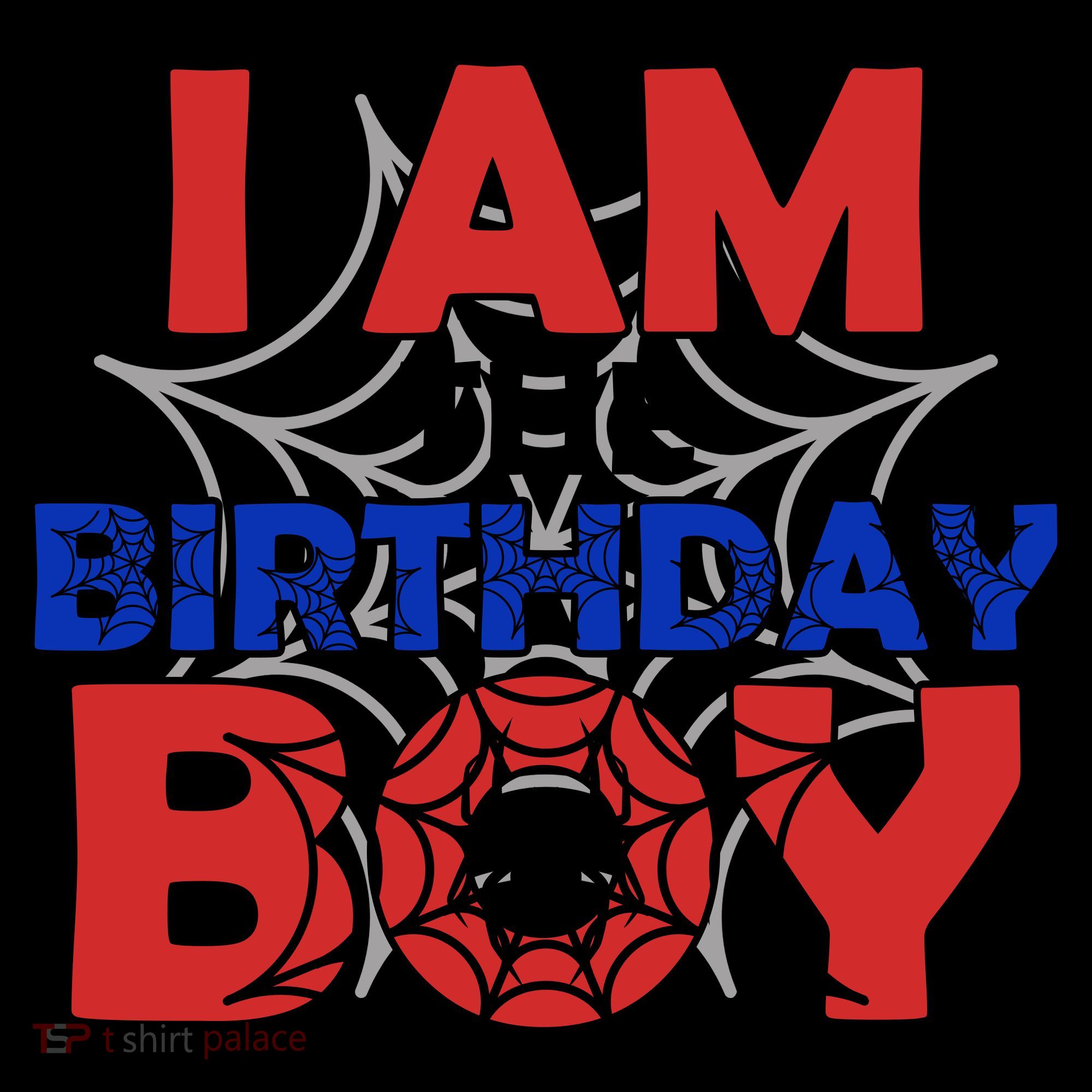 I Am The Birthday Boy Spider Party Coffee Mug
