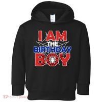 I Am The Birthday Boy Spider Party Toddler Hoodie thumb 0