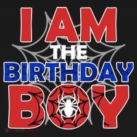 I Am The Birthday Boy Spider Party Toddler Hoodie thumb 2
