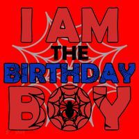 I Am The Birthday Boy Spider Party Santa Hat thumb 1