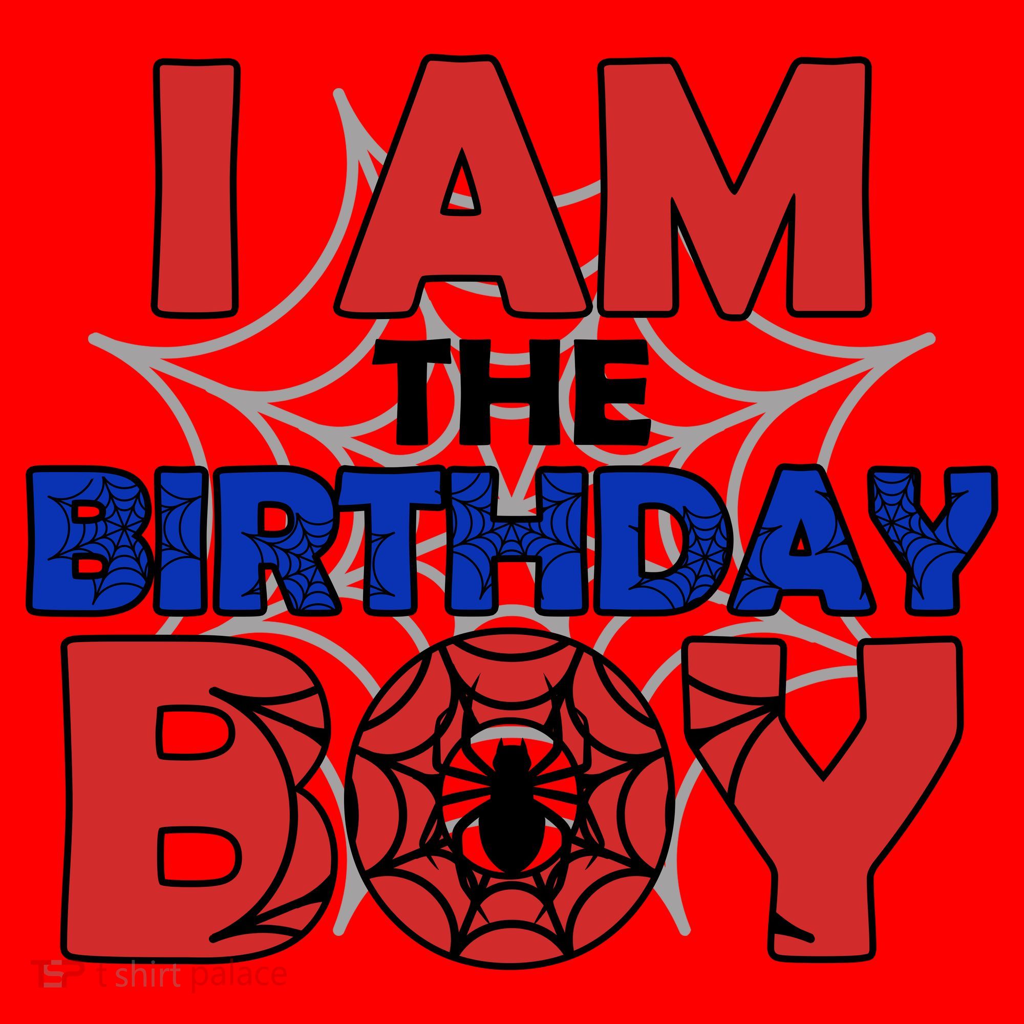 I Am The Birthday Boy Spider Party Santa Hat