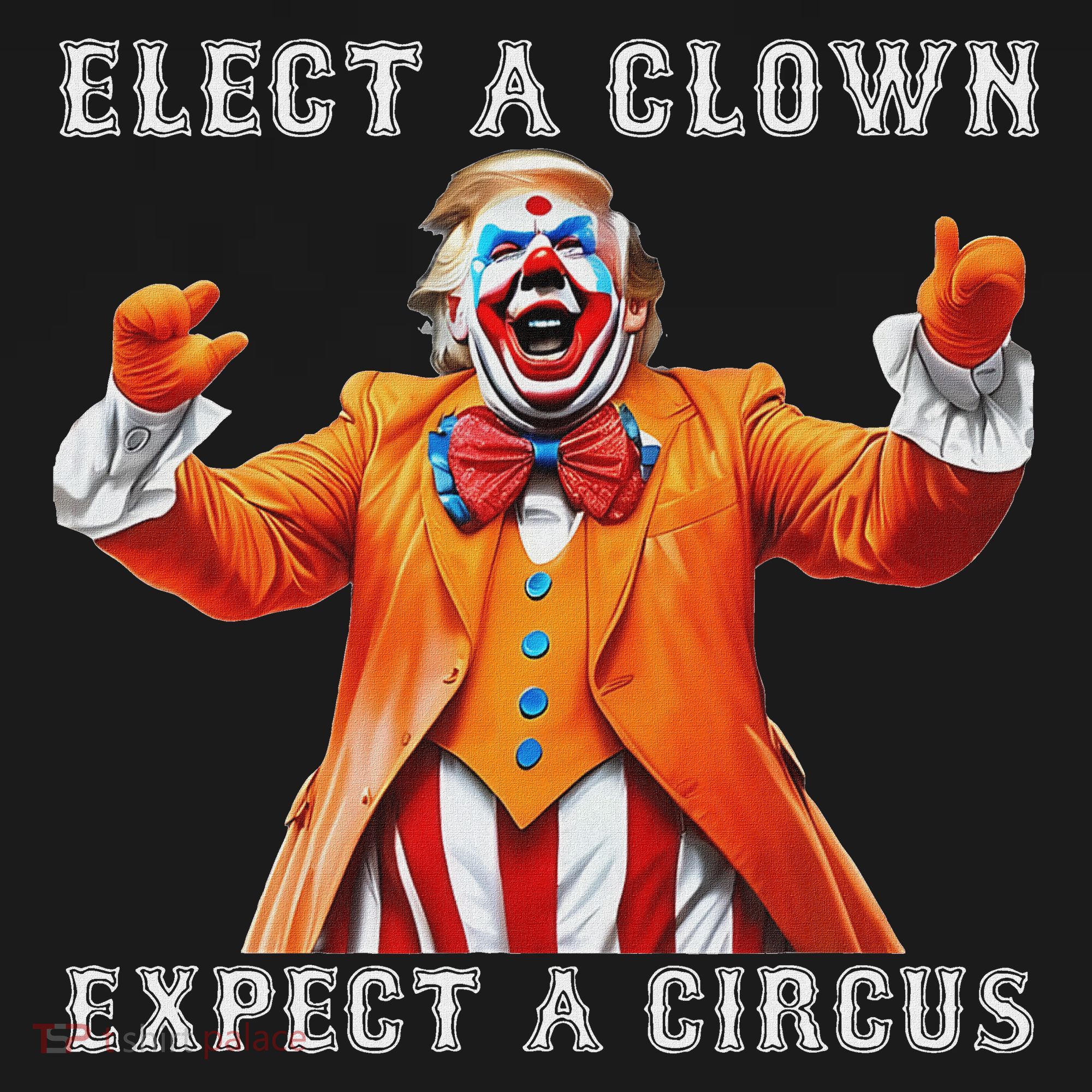 Impeach Anti Trump Elect A Clown Expect A Circus Women's Hoodie