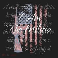 I Am The Militia Pro 2nd Amendment Proud American Flag Gift Beanie thumb 2