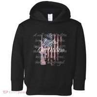 I Am The Militia Pro 2nd Amendment Proud American Flag Gift Toddler Hoodie thumb 0