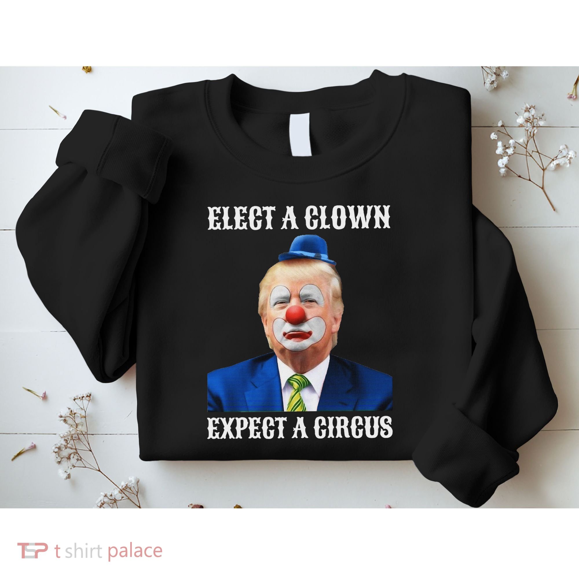 Impeach Anti Trump Elect A Clown Expect A Circus Fun Gift Sweatshirt