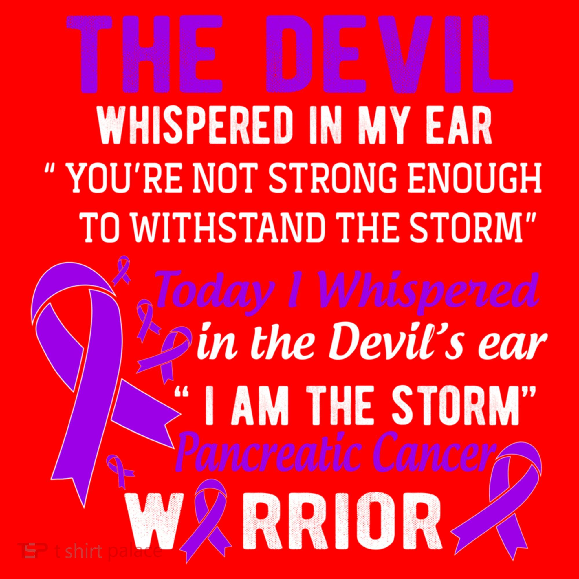 I Am The Storm Pancreatic Cancer Warrior Gift Santa Hat