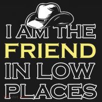 I Am The Friend In Low Places Kids Sweatshirt thumb 2