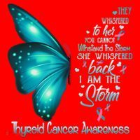 I Am The Storm Thyroid Cancer Awareness Butterfly Gift Santa Hat thumb 1