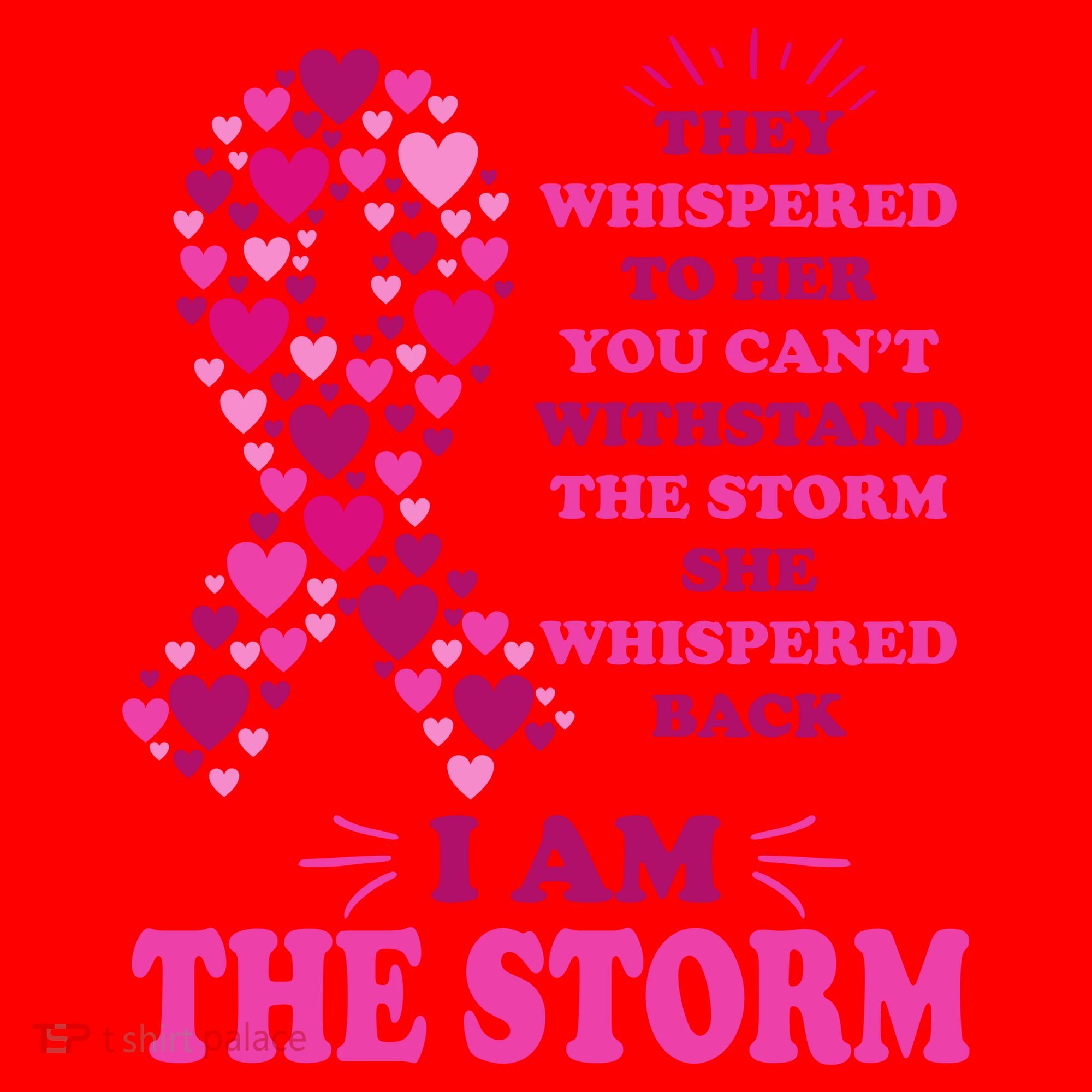 I Am The Storm Quote Breast Cancer Awareness Santa Hat