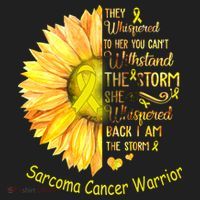 I Am The Storm Sarcoma Cancer Warrior Gift Women's Sweatshirt thumb 2