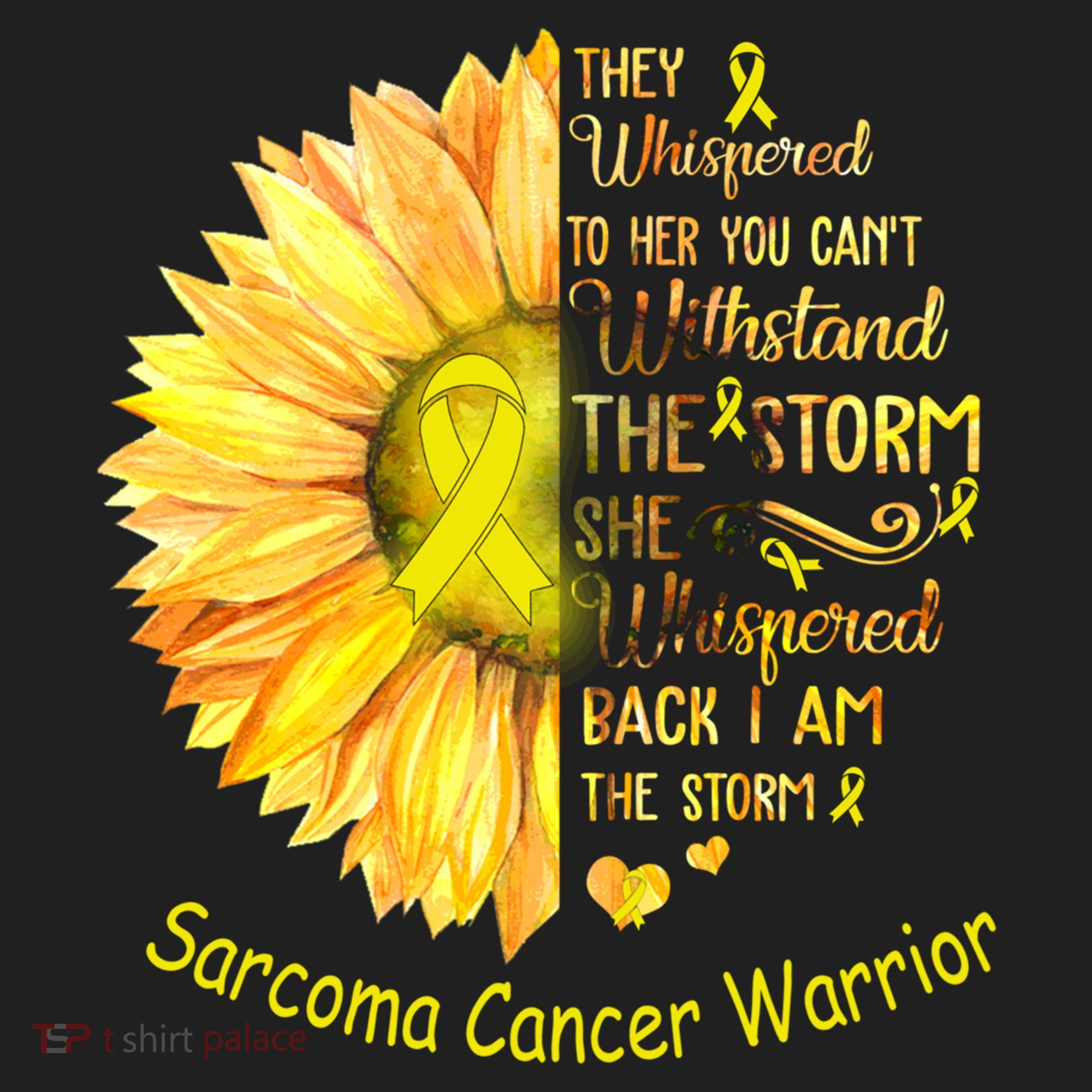 I Am The Storm Sarcoma Cancer Warrior Gift Hat
