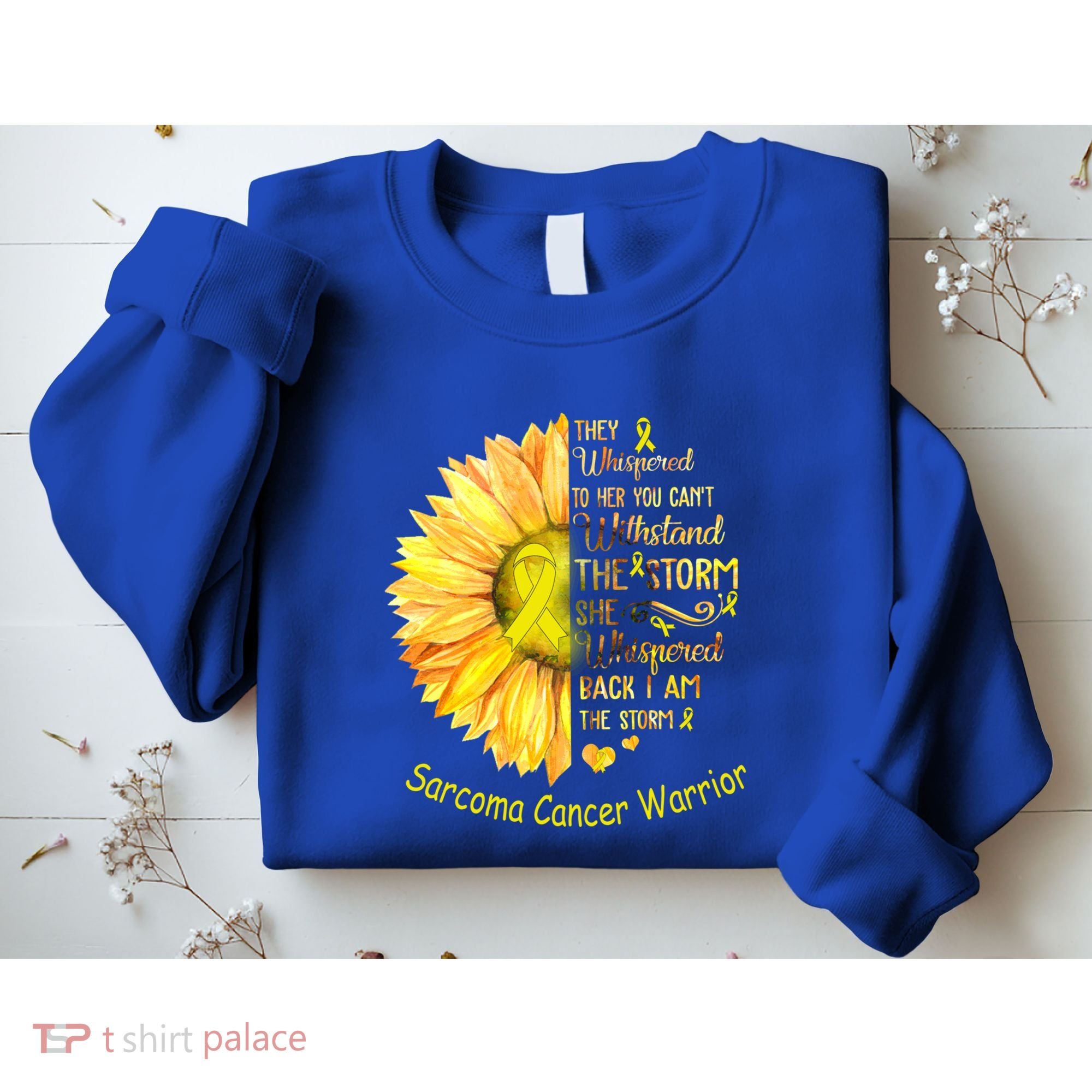 I Am The Storm Sarcoma Cancer Warrior Gift Sweatshirt