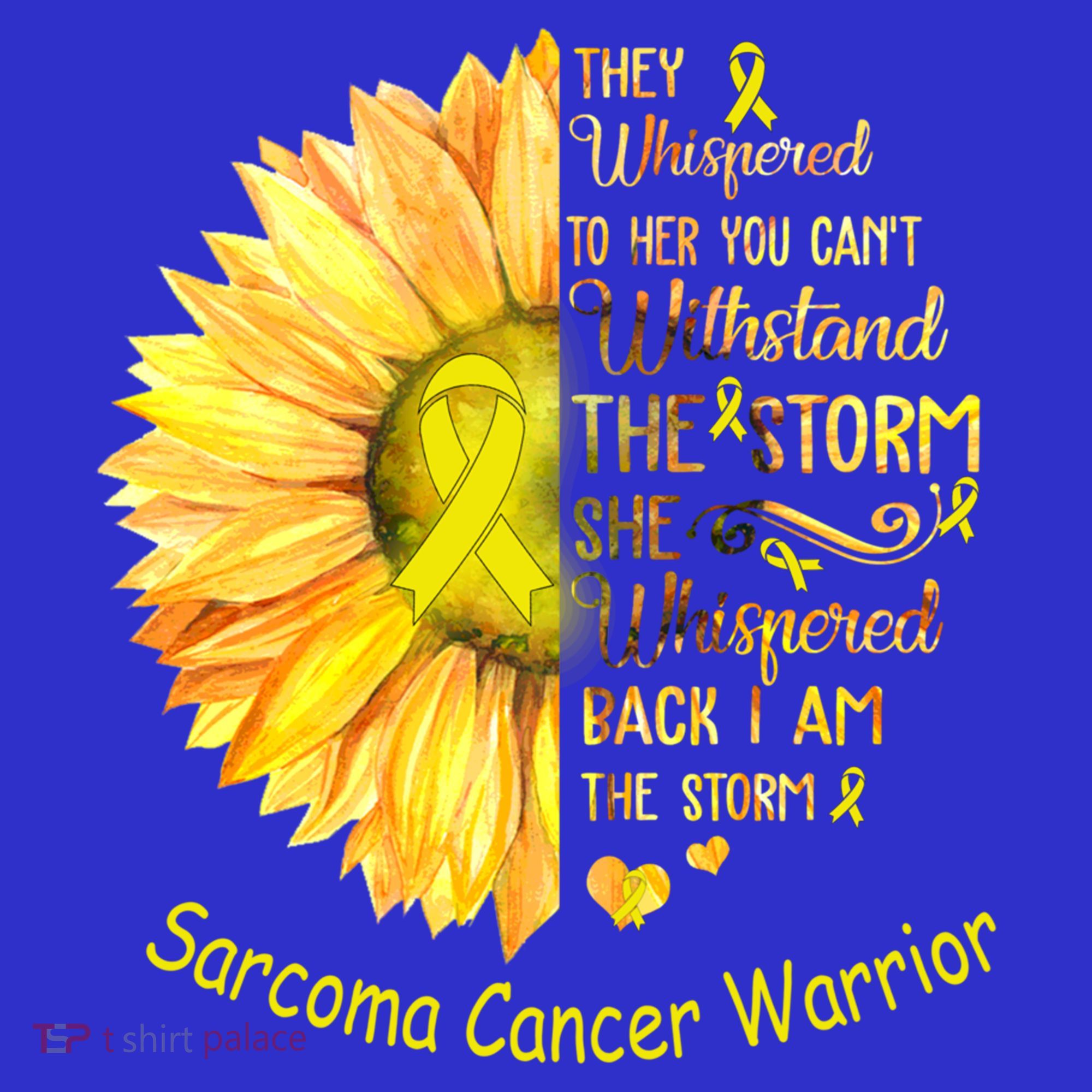 I Am The Storm Sarcoma Cancer Warrior Gift Sweatshirt