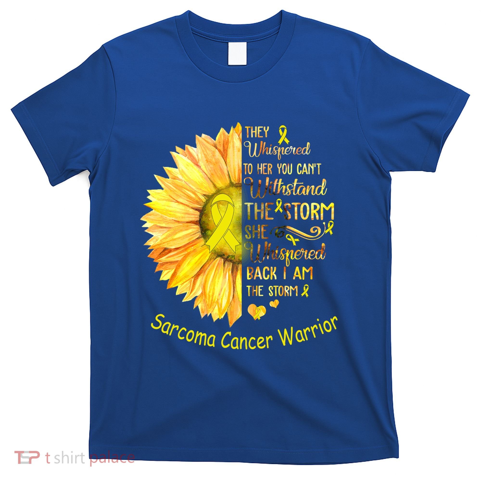 I Am The Storm Sarcoma Cancer Warrior Gift T-Shirt