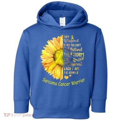 I Am The Storm Sarcoma Cancer Warrior Gift Toddler Hoodie