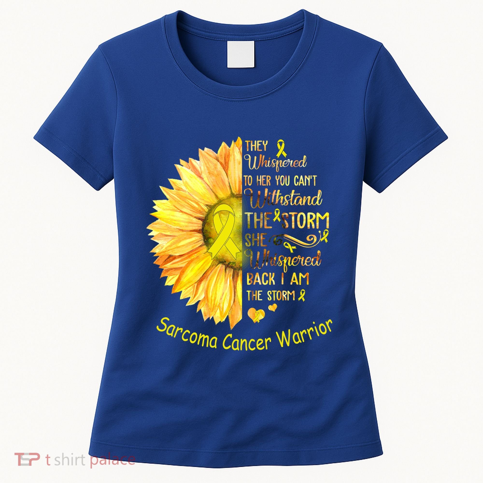 I Am The Storm Sarcoma Cancer Warrior Gift Women's T-Shirt