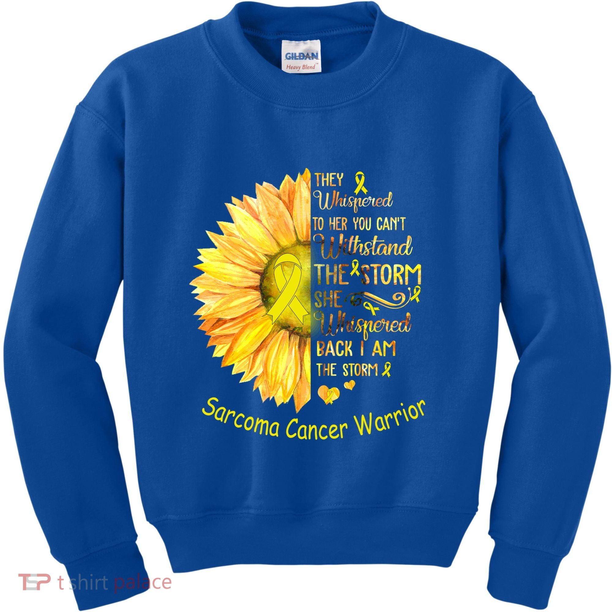 I Am The Storm Sarcoma Cancer Warrior Gift Kids Sweatshirt