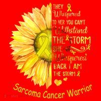 I Am The Storm Sarcoma Cancer Warrior Gift Santa Hat thumb 1