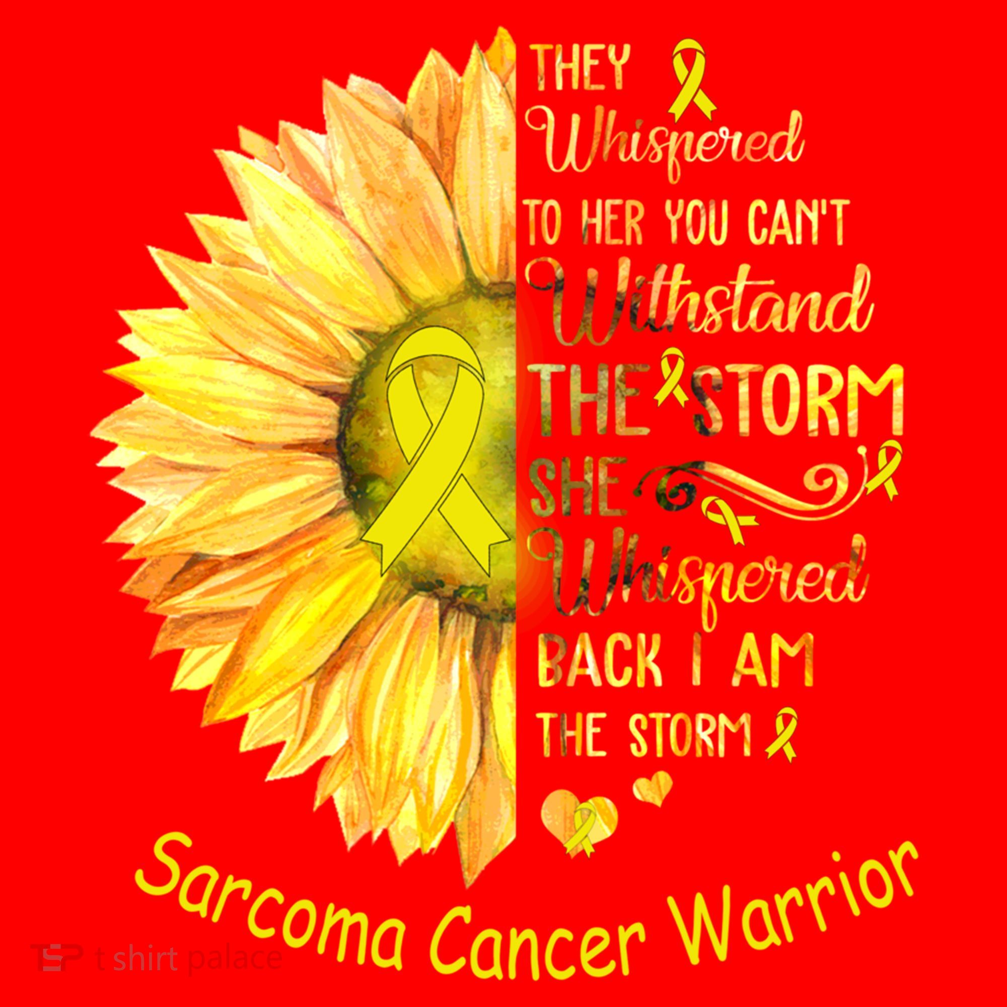 I Am The Storm Sarcoma Cancer Warrior Gift Santa Hat