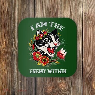 I Am The Enemy Within Cat Kamala Harris 2024 Merch Coaster